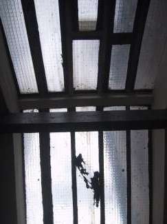 IMG_2032.JPG